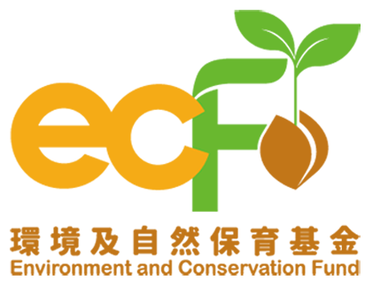 ECF